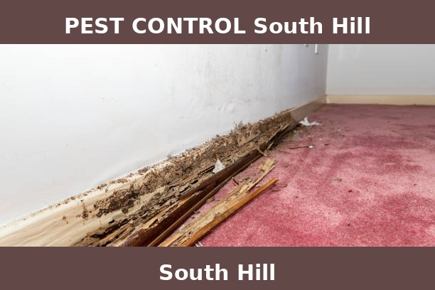 PEST CONTROL South Hill